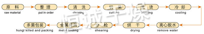 DWC係列脫水蔬菜帶式（shì）幹（gàn）燥機工藝流程圖